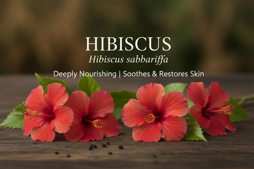 Hibiscus Ingredient Image